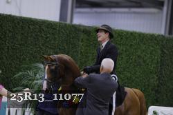 25R13_11077 thumbnail