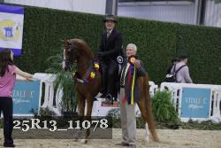 25R13_11078 thumbnail
