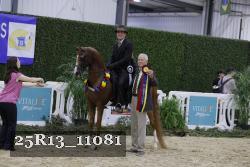 25R13_11081 thumbnail
