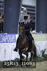 25R13_11083 thumbnail