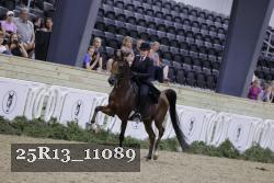 25R13_11089 thumbnail