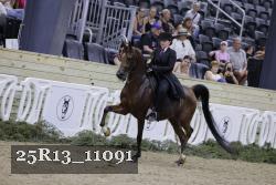 25R13_11091 thumbnail