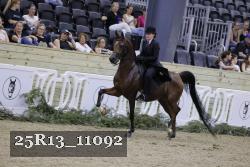 25R13_11092 thumbnail