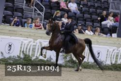 25R13_11094 thumbnail