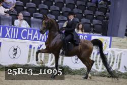 25R13_11095 thumbnail