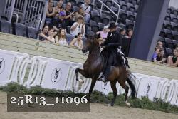 25R13_11096 thumbnail