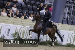 25R13_11097 thumbnail