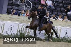 25R13_11098 thumbnail