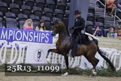 25R13_11099 thumbnail