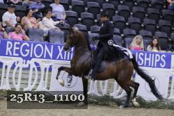 25R13_11100 thumbnail