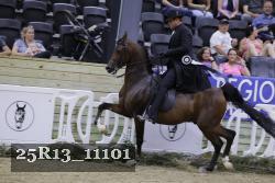 25R13_11101 thumbnail
