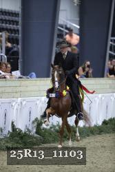 25R13_11103 thumbnail