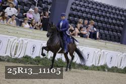 25R13_11105 thumbnail