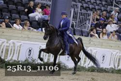 25R13_11106 thumbnail