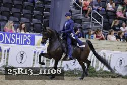 25R13_11108 thumbnail