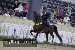 25R13_11110 thumbnail