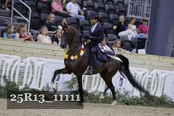 25R13_11111 thumbnail