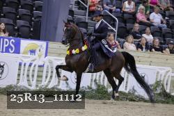 25R13_11112 thumbnail
