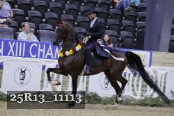 25R13_11113 thumbnail