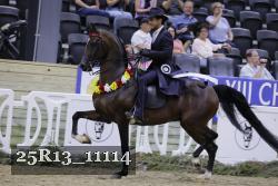 25R13_11114 thumbnail