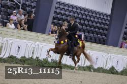 25R13_11115 thumbnail