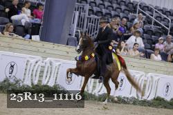 25R13_11116 thumbnail