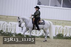 25R13_11125 thumbnail