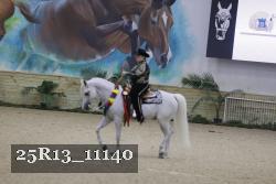 25R13_11140 thumbnail