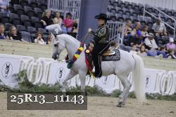 25R13_11143 thumbnail