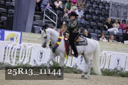 25R13_11144 thumbnail