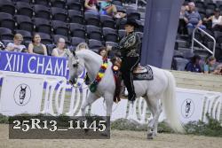 25R13_11145 thumbnail
