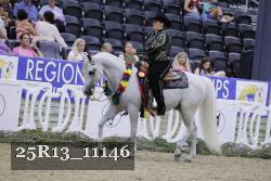25R13_11146 thumbnail