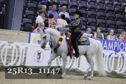 25R13_11147 thumbnail