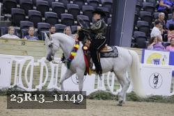 25R13_11149 thumbnail