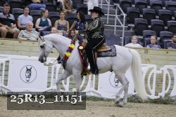25R13_11151 thumbnail