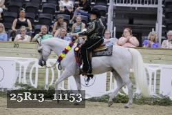 25R13_11153 thumbnail