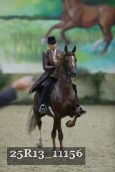 25R13_11156 thumbnail