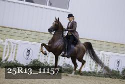 25R13_11157 thumbnail