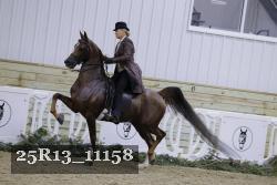 25R13_11158 thumbnail