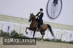 25R13_11159 thumbnail