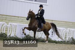 25R13_11160 thumbnail
