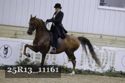 25R13_11161 thumbnail