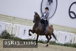 25R13_11165 thumbnail