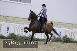 25R13_11167 thumbnail