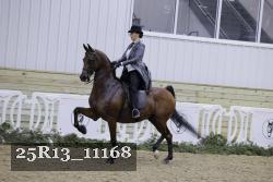 25R13_11168 thumbnail