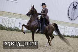 25R13_11171 thumbnail
