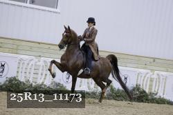 25R13_11173 thumbnail