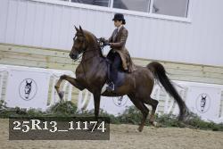 25R13_11174 thumbnail