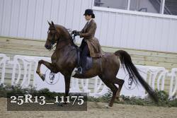25R13_11175 thumbnail
