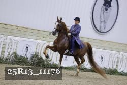 25R13_11176 thumbnail